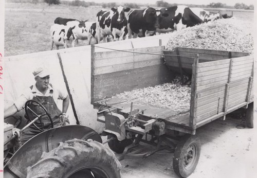 1950s 8x10 farmer - 8x10, tractor