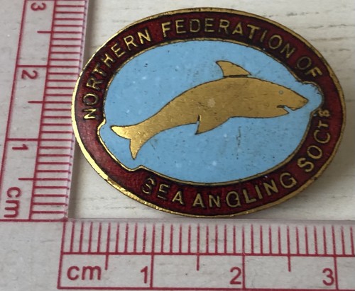 Vtg northern federation of - vtg,