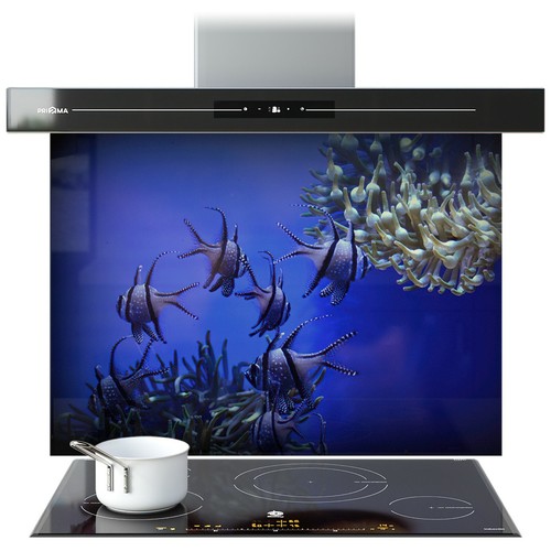 Glass splashback kitchen - splashback, tile