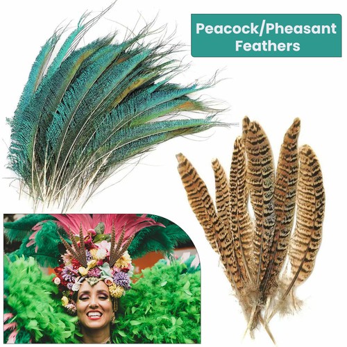 Pheasant tail feathers - pheasant,