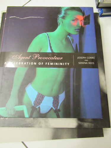Agent provocateur a - agent,