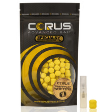 Wafters Carp Fishing Dumbells