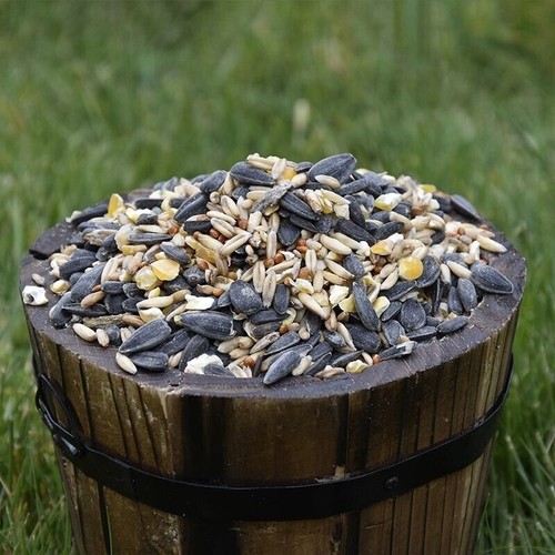 Wild garden bird seed - garden,