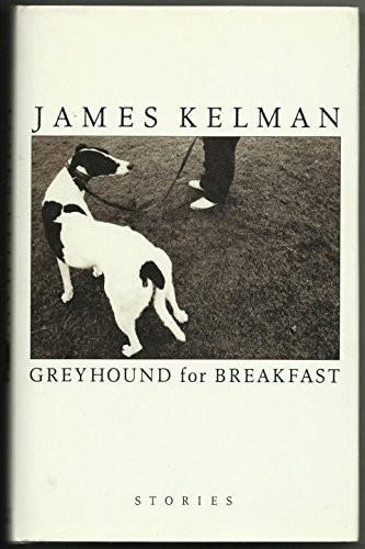 Greyhound for breakfast - greyhound,