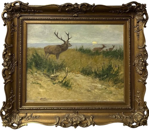 Christopher drahtmann stag - drahtmann, &