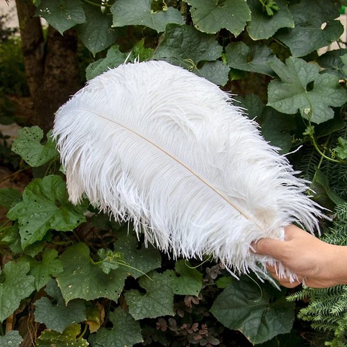 30cm large ostrich - 25-30cm,