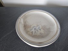 Denby Coloroll Tasmin Tea / Side Plates 17 cm Wide Set