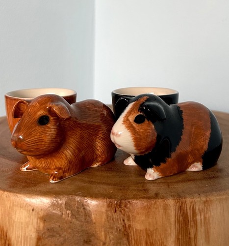 Quail ceramics guinea pig - x,