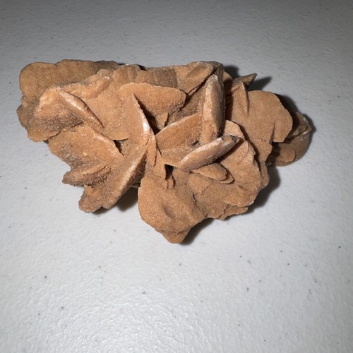 Brown delicate desert - brown,