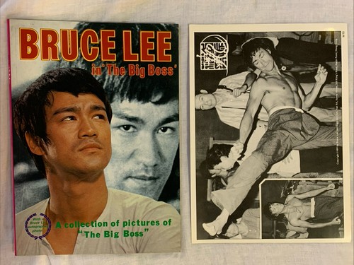 Bruce lee the - in, “the