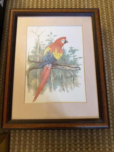 Framed mounted print of - framed, &