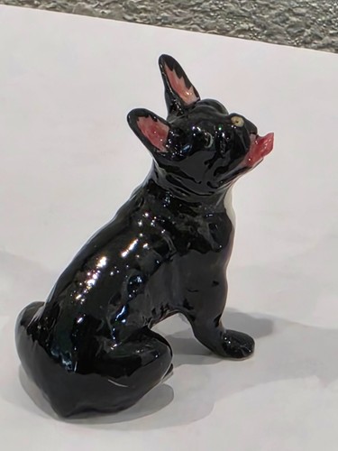 Miniature french bulldog - miniature,
