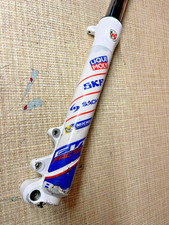 Beta evo fork leg spring side