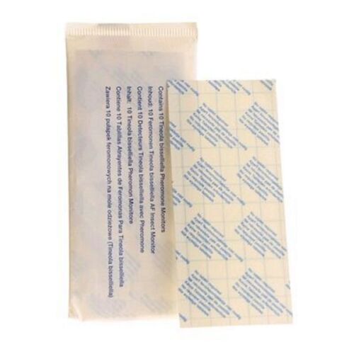 Clothes moth traps demi - moth, traps,