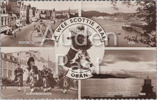 Rppc wee scottie frae oban - rppc, a
