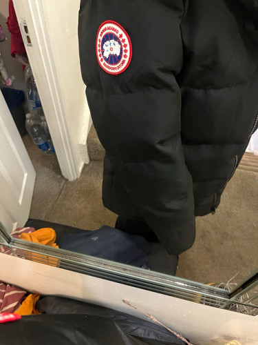 Canada goose arctic - goose,