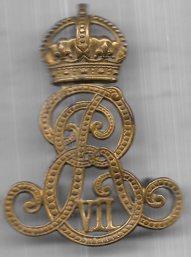 Kevii norfolk imperial - norfolk,