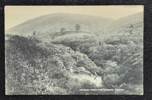 Dolgoch from the viaduct - dolgoch, towyn