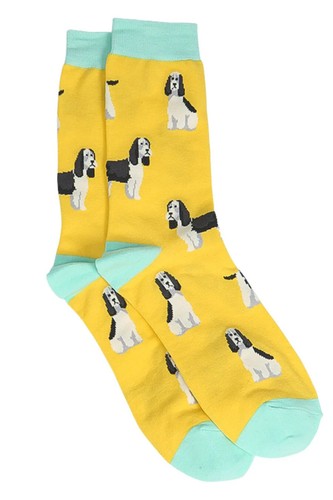 Springer spaniels dog yellow - spaniels,