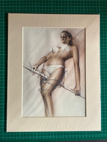 Hajime sorayama mounted - hajime,