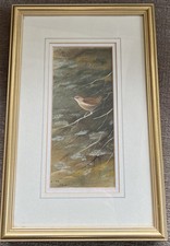 Watercolour Of Jenny Wren By