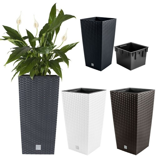 Tall planter flower - tall,