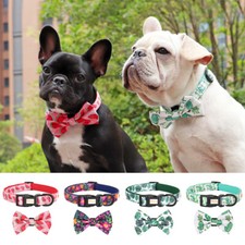 Cute Bowtie Dog Collar Fancy