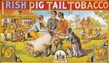 AZ73 Vintage Irish Pig Tail