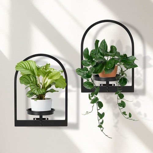 Metal wall plant holder indoor - plant,