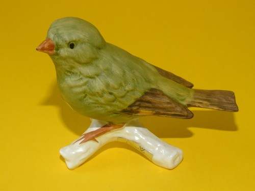 Goebel greenfinch - goebel,