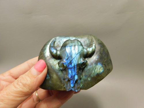 Steer skull western decor - skull,