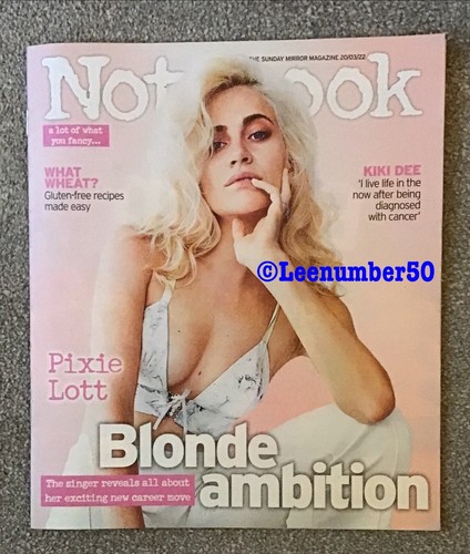 Notebook magazine pixie - magazine,