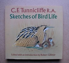 Sketches bird life - bird,