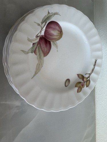 Mikasa maxima belle terre - mikasa,