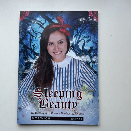 Sleeping beauty pantomime - beauty,