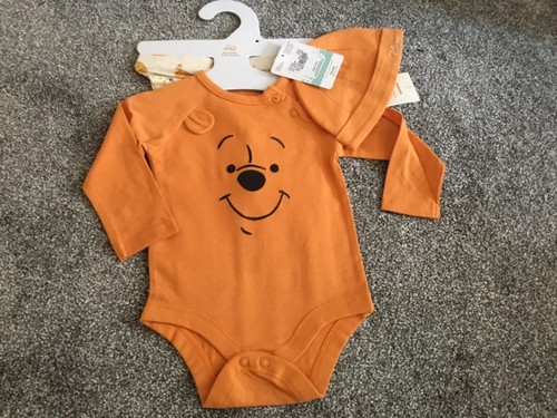 Disney winnie the pooh - winnie,