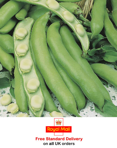 Dwarf broad bean the - sutton, 25