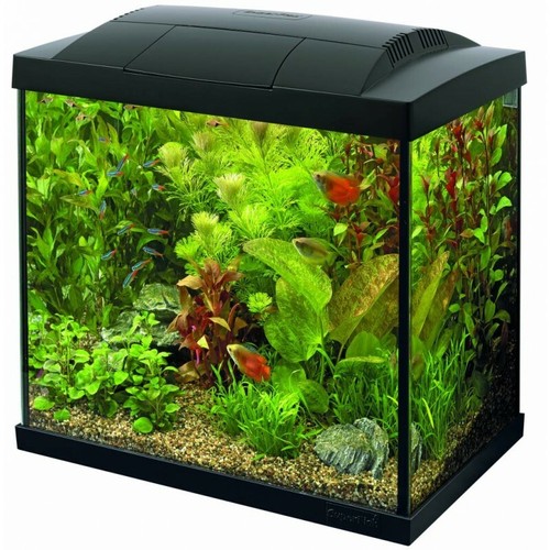 Superfish start tropical - superfish,