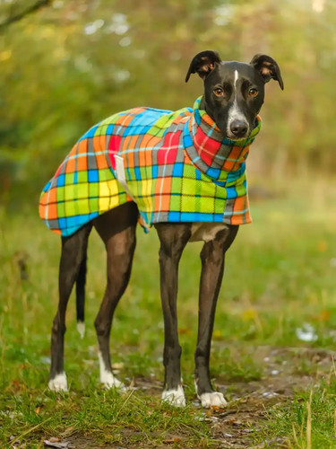 Bright tartan fleece - bright,