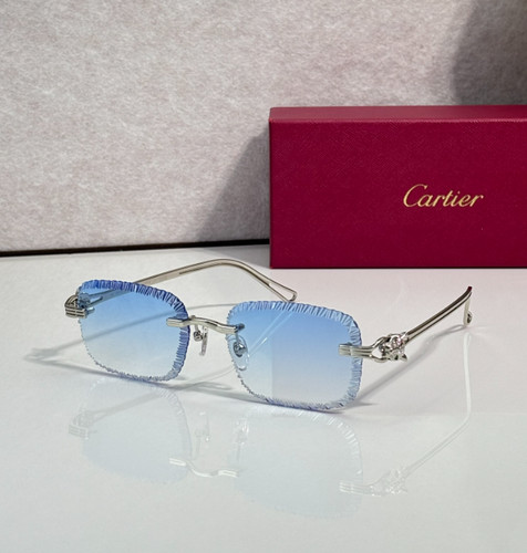 Cartier décor panthère rare - cartier,