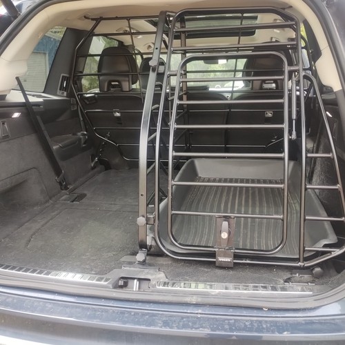 Volvo 2016 mk2 dog - volvo, on