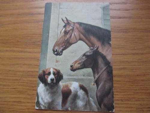 1913 original reichert - original, c.reichert