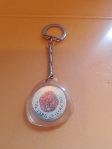 Pre owned keyring the - keyring,