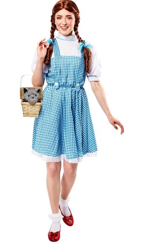 The wizard toto in - the, oz