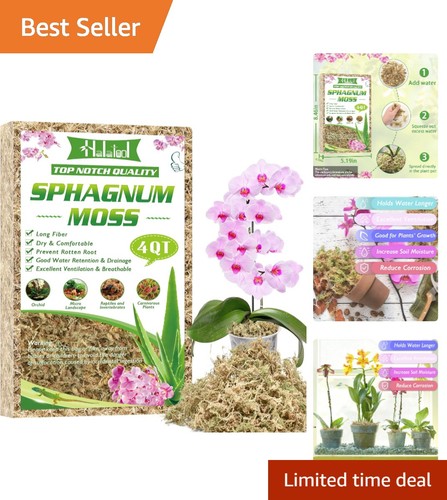 Natural sphagnum moss - sphagnum,