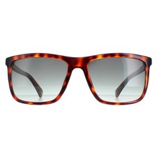 Ted Baker Sunglasses TB1663