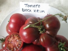  TOMATO BLACK KRIM 25 SEEDS 