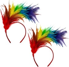 2 Pieces Rainbow Feather