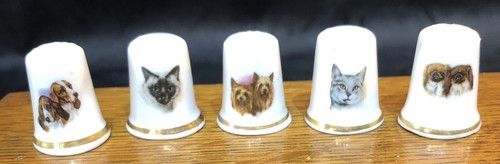 Thimbles cats dogs bone - cats,