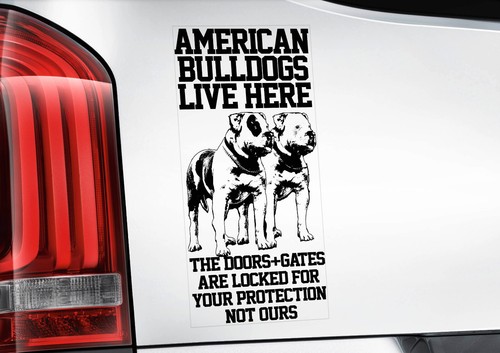 American bulldog car sticker - bulldog,